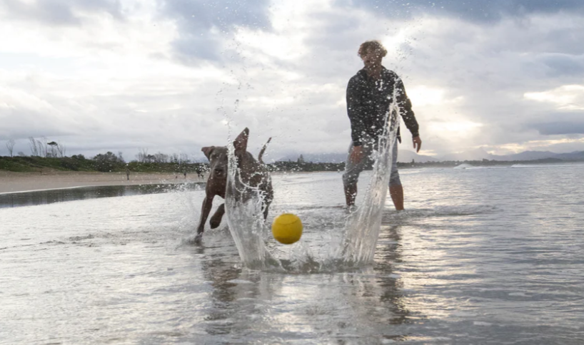 105C06 Fetch Dog Ball